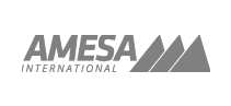 Amesa